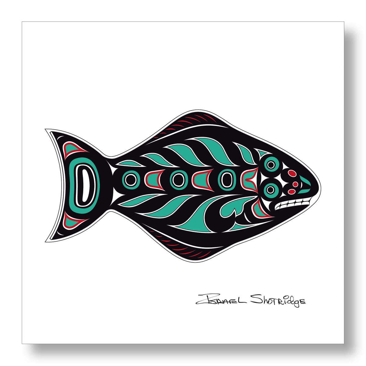 Shotridge Studios Limited Edition 12"x12" Art Print - Various Designs