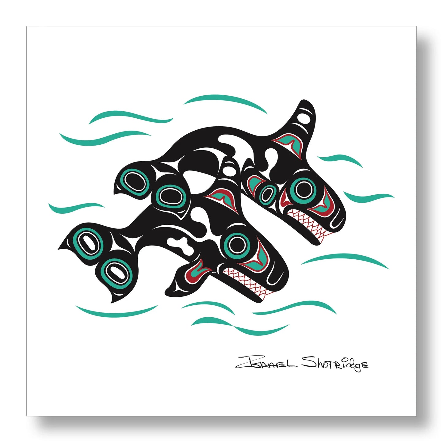 Shotridge Studios Limited Edition 12"x12" Art Print - Various Designs