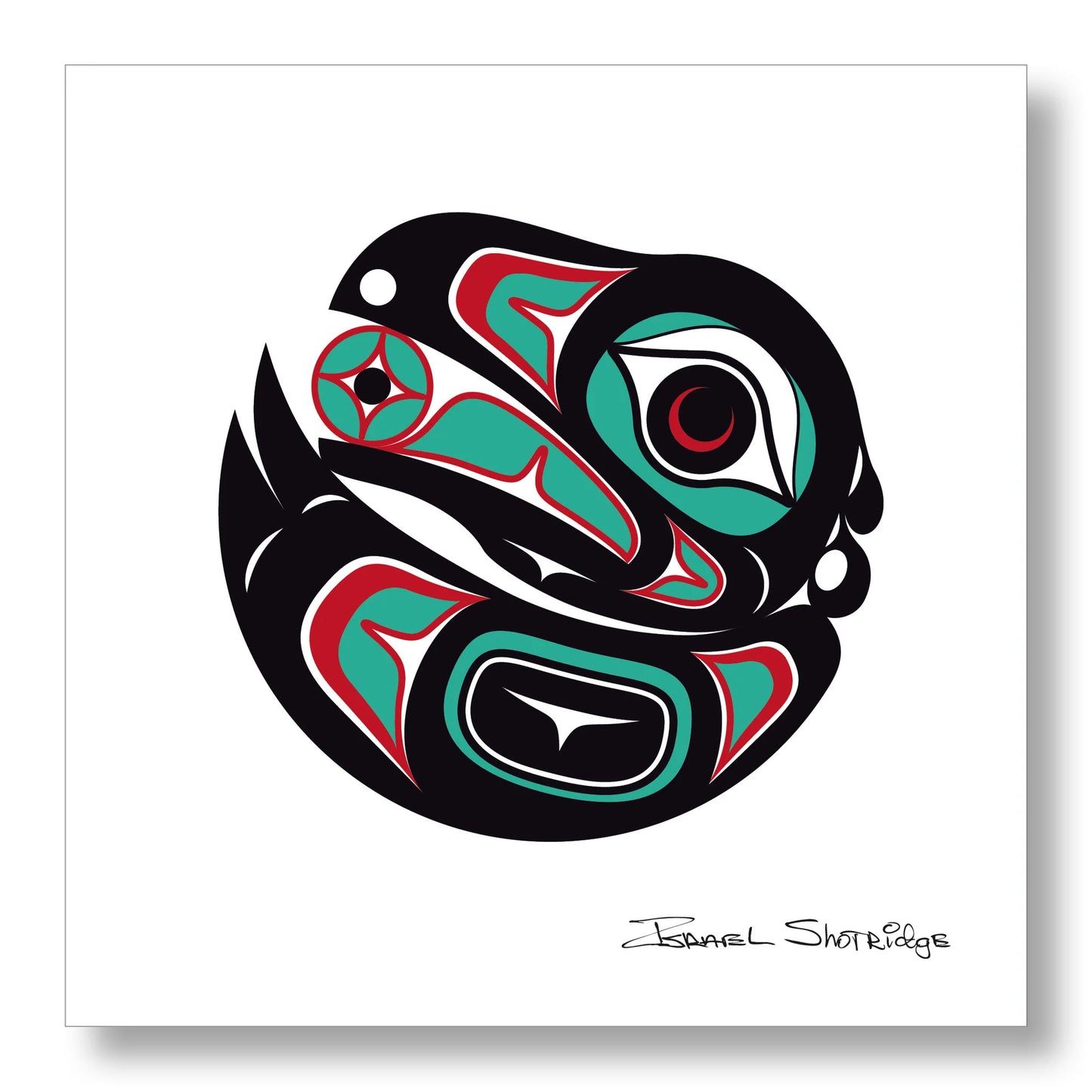 Shotridge Studios Limited Edition 12"x12" Art Print - Various Designs