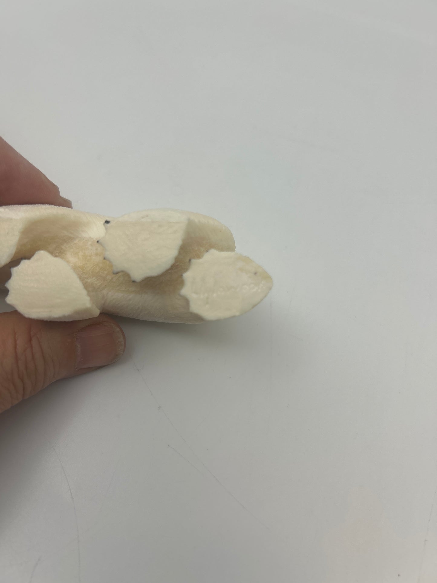 Ivory - Polar Bear Walking 4.25"