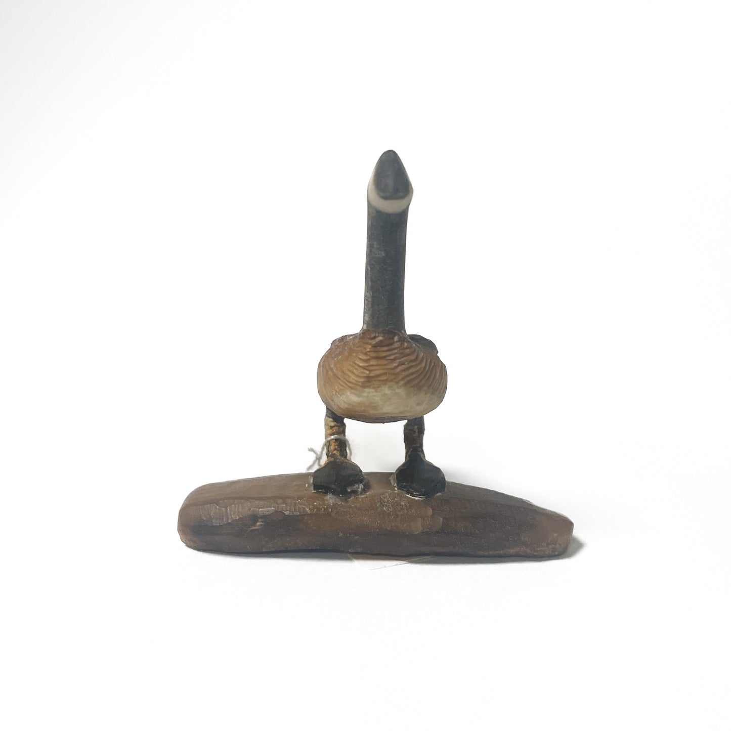 Ivory- B. Aningayou, Canada Goose on log