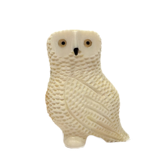 Ivory Owl