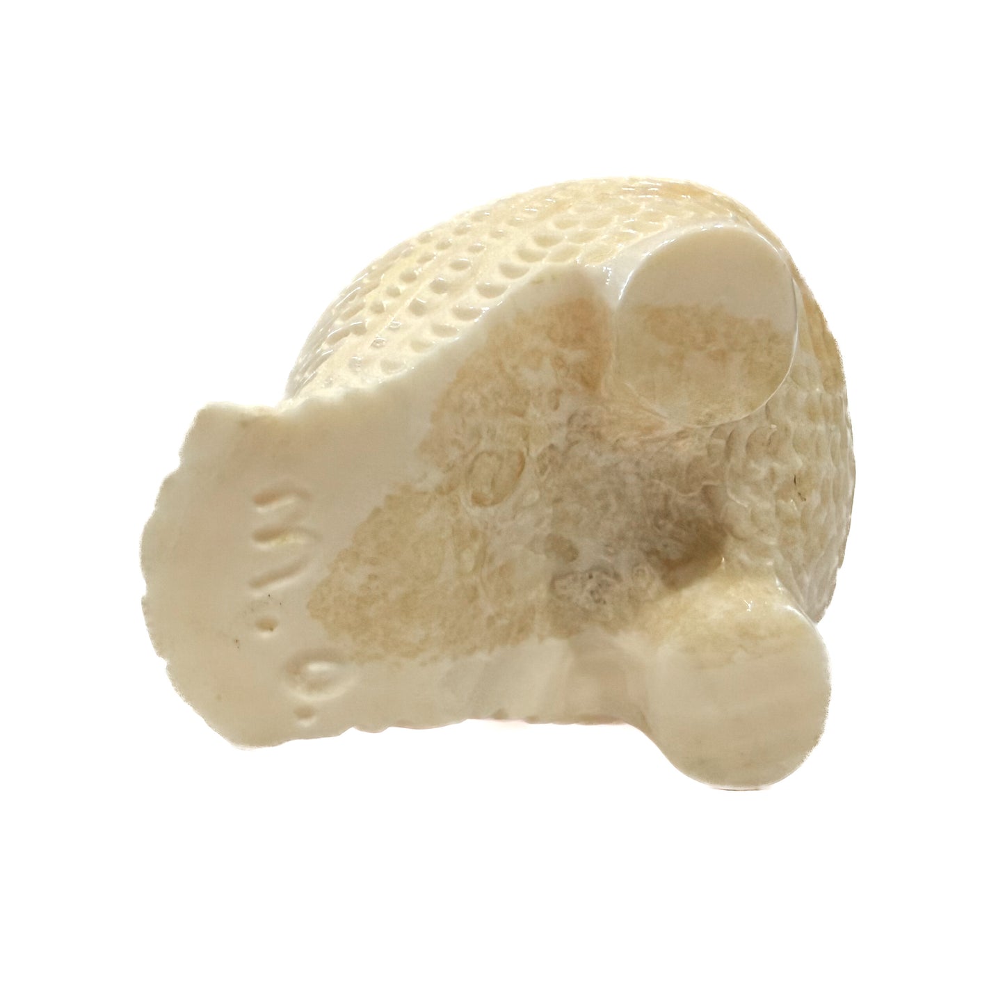 Ivory Owl