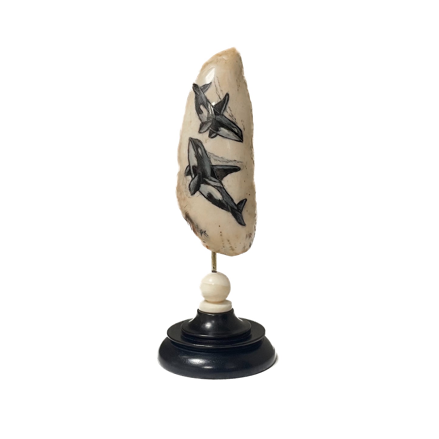 Peter Kinney Scrimshaw Orcas on Walrus Tooth