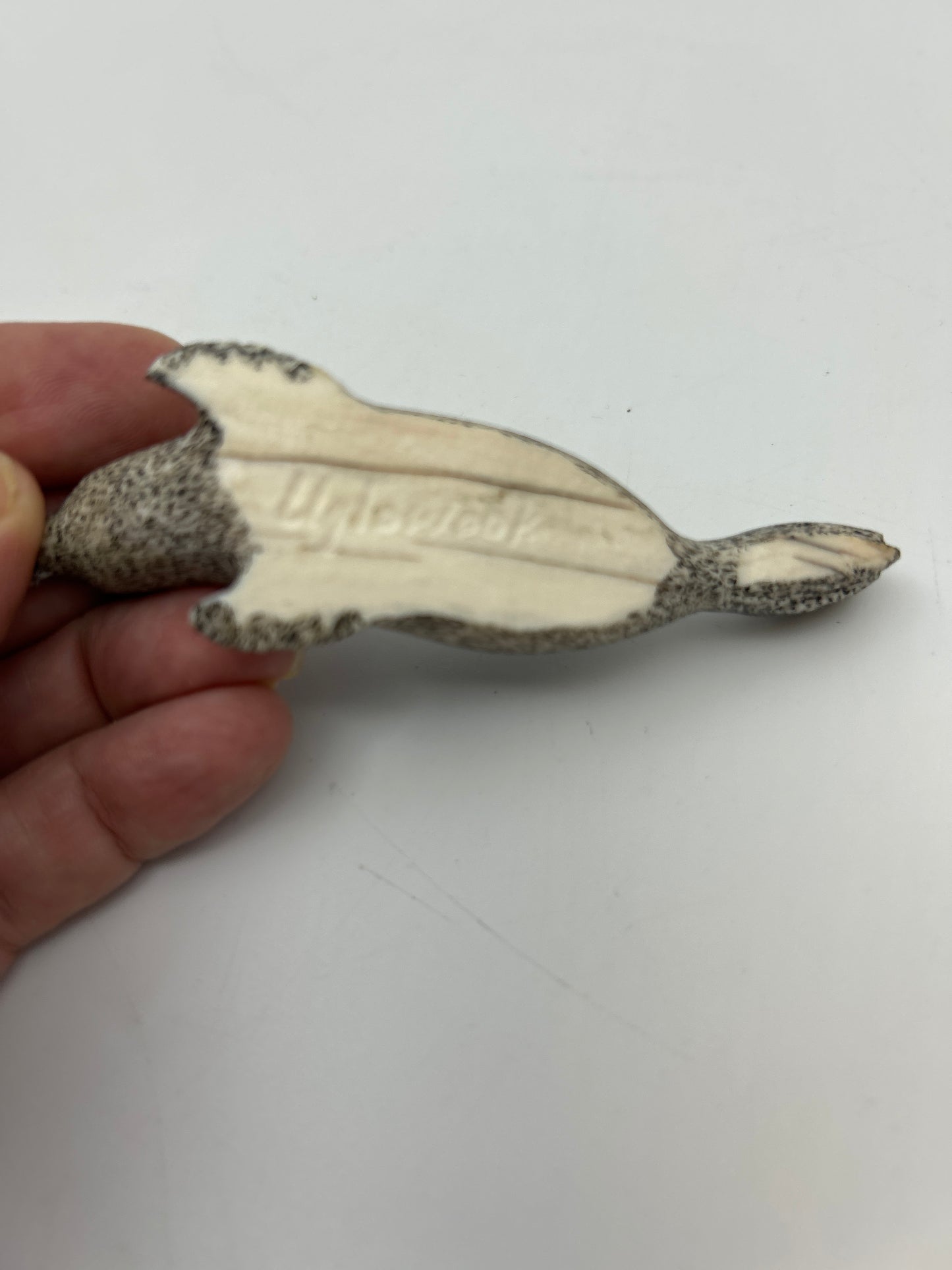 Ivory - Scrimshaw Spotted Seal