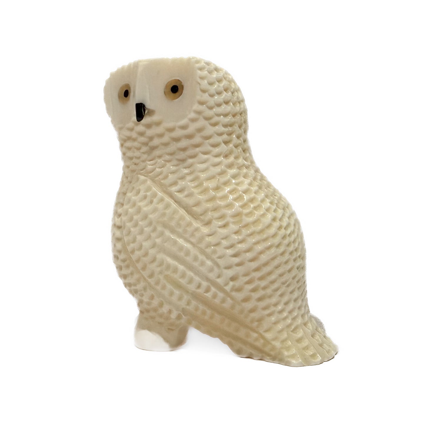 Ivory Owl