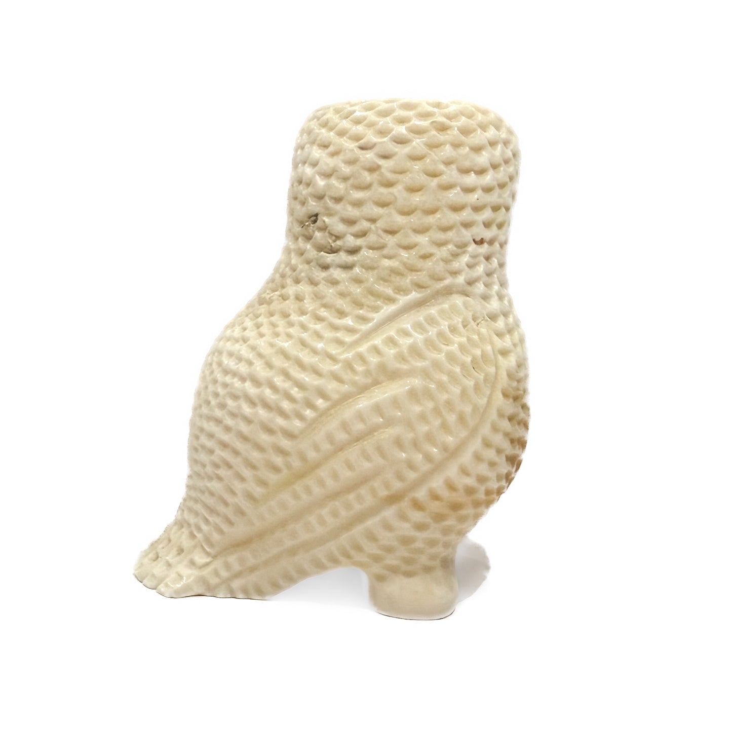 Ivory Owl