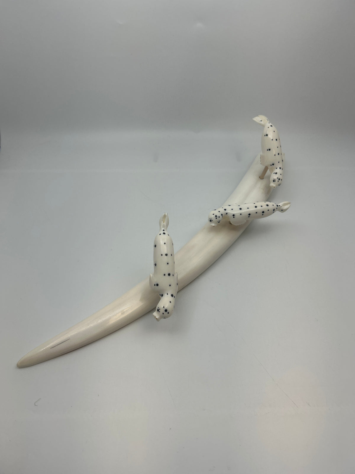 Ivory - 3 Spotted Seals on Ivory Tusk