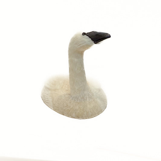 Fred Mayac - Walrus Ivory Swan (Facing Left)