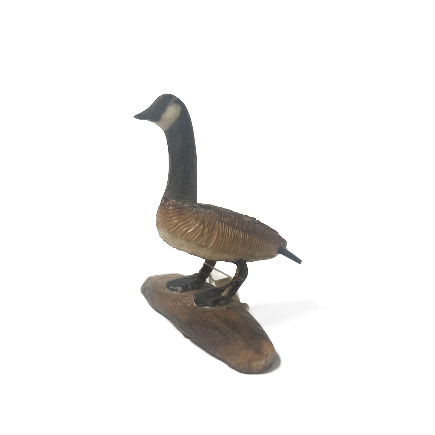 Ivory- B. Aningayou, Canada Goose on log