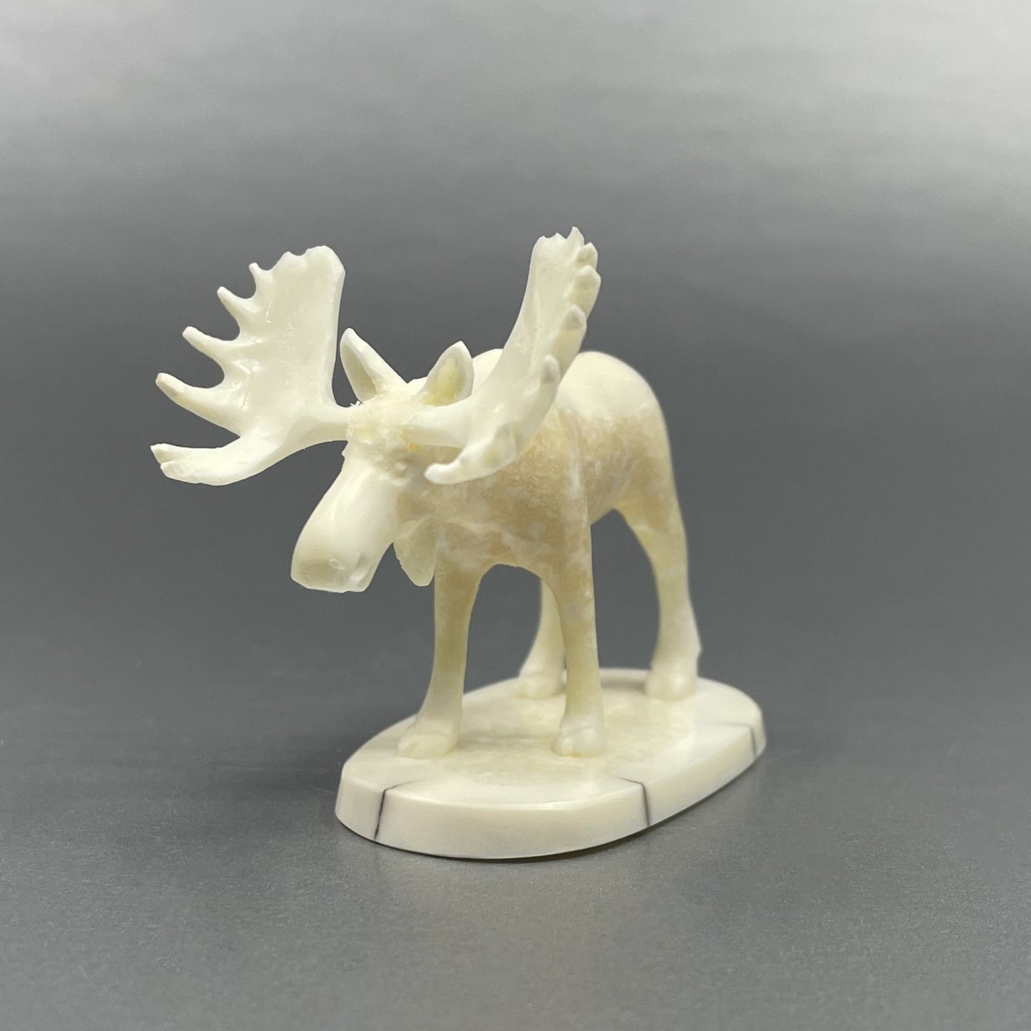 Savage Medium Ivory Moose