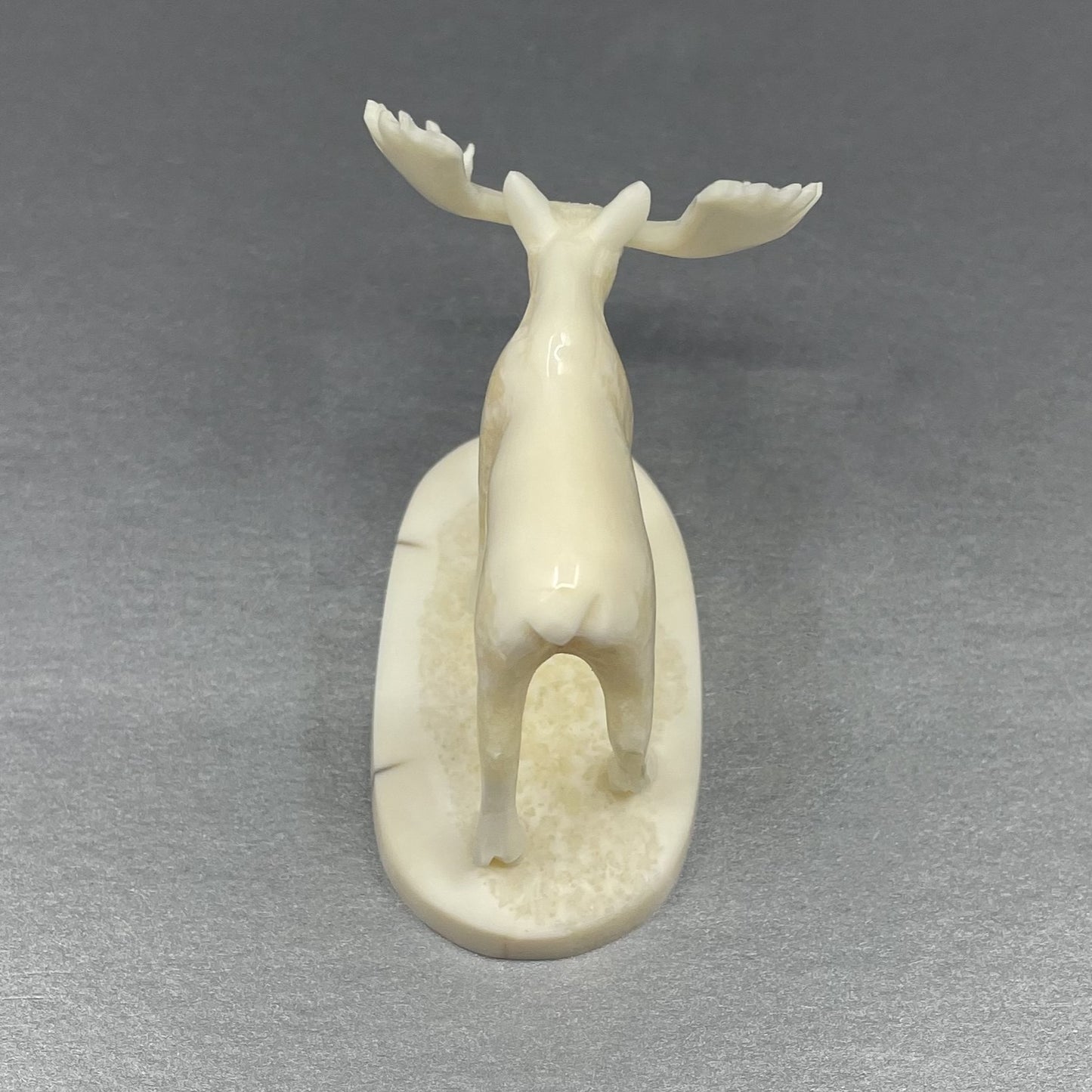 Savage Medium Ivory Moose