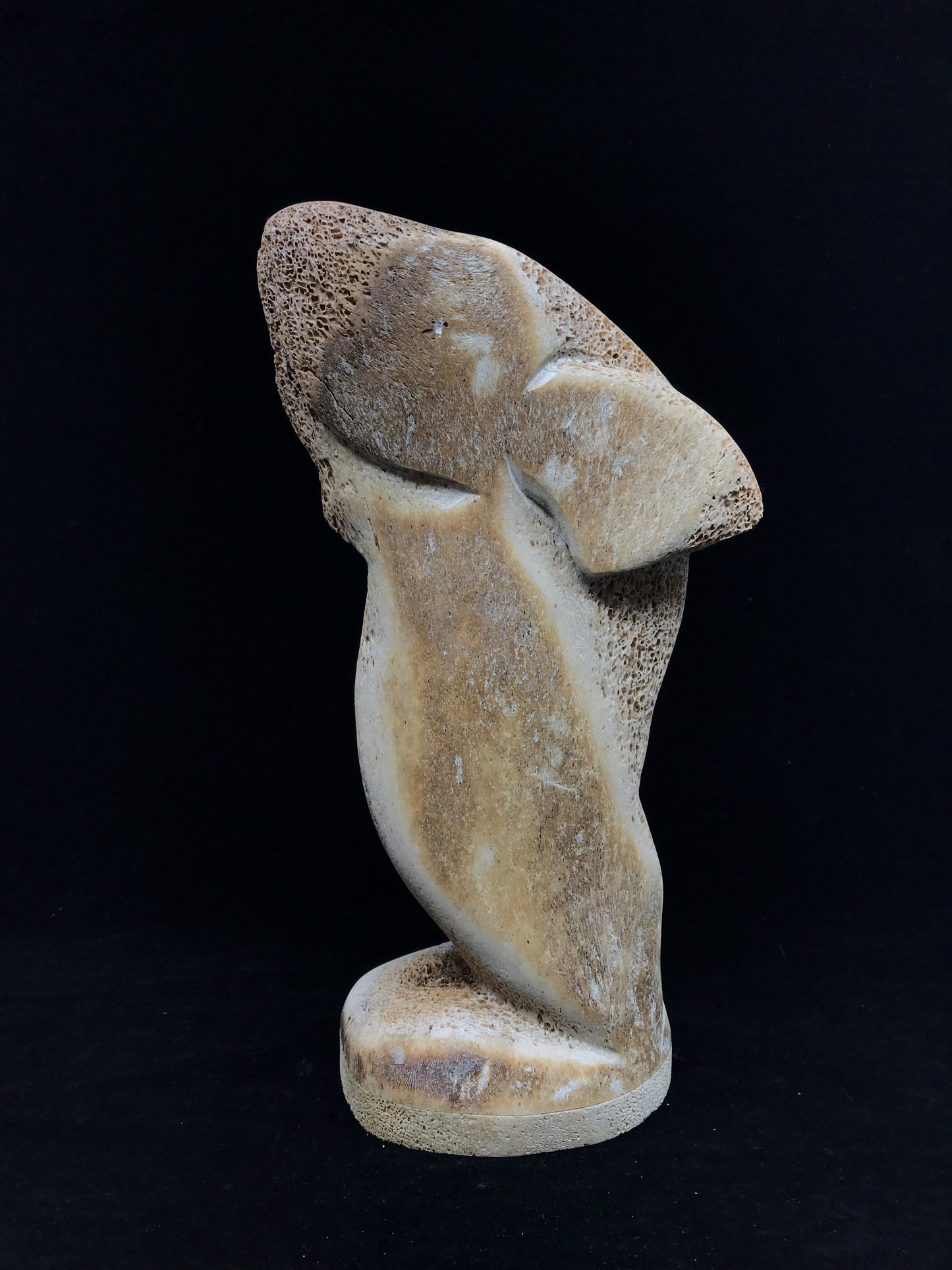 Whalebone- Amos; Abstract Humpback Whales