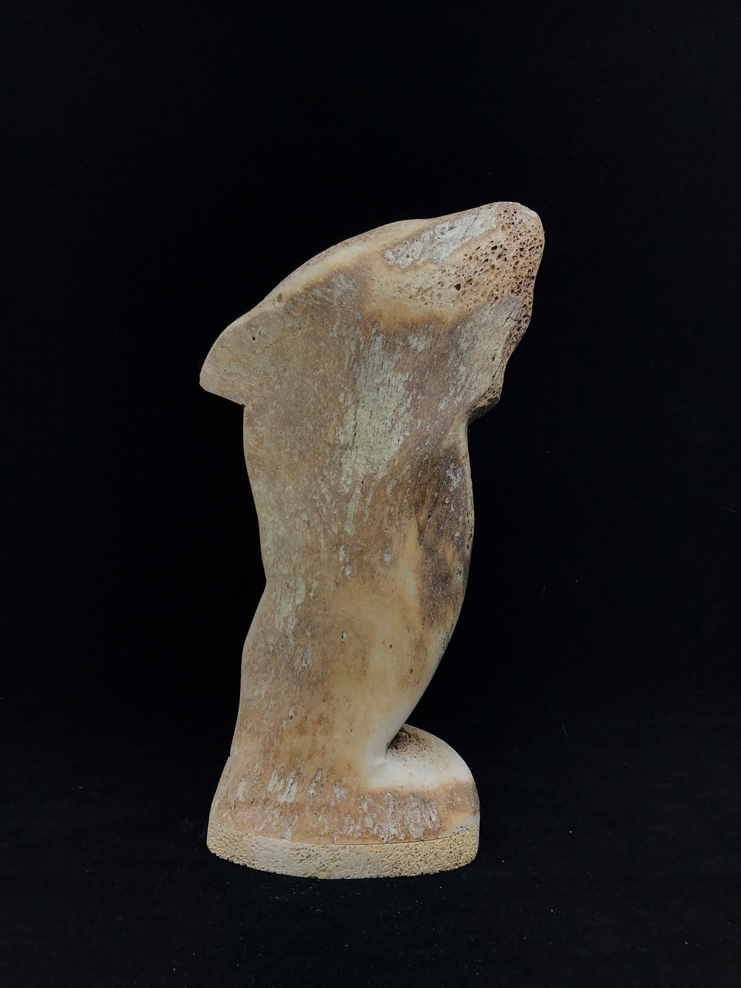 Whalebone- Amos; Abstract Humpback Whales