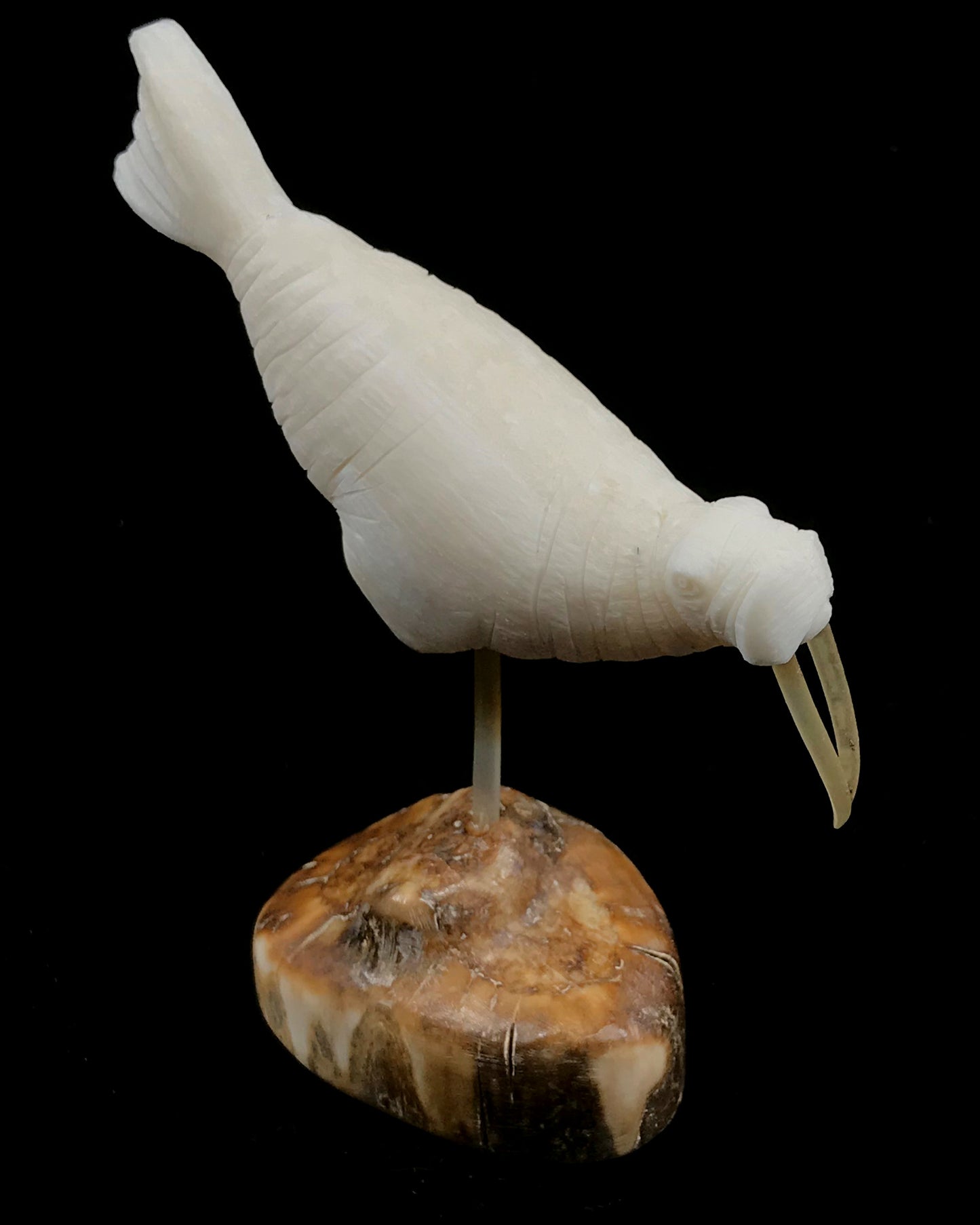Ivory- Pungowiyi; Swimming Walrus w Whisker Tusks & Spindle