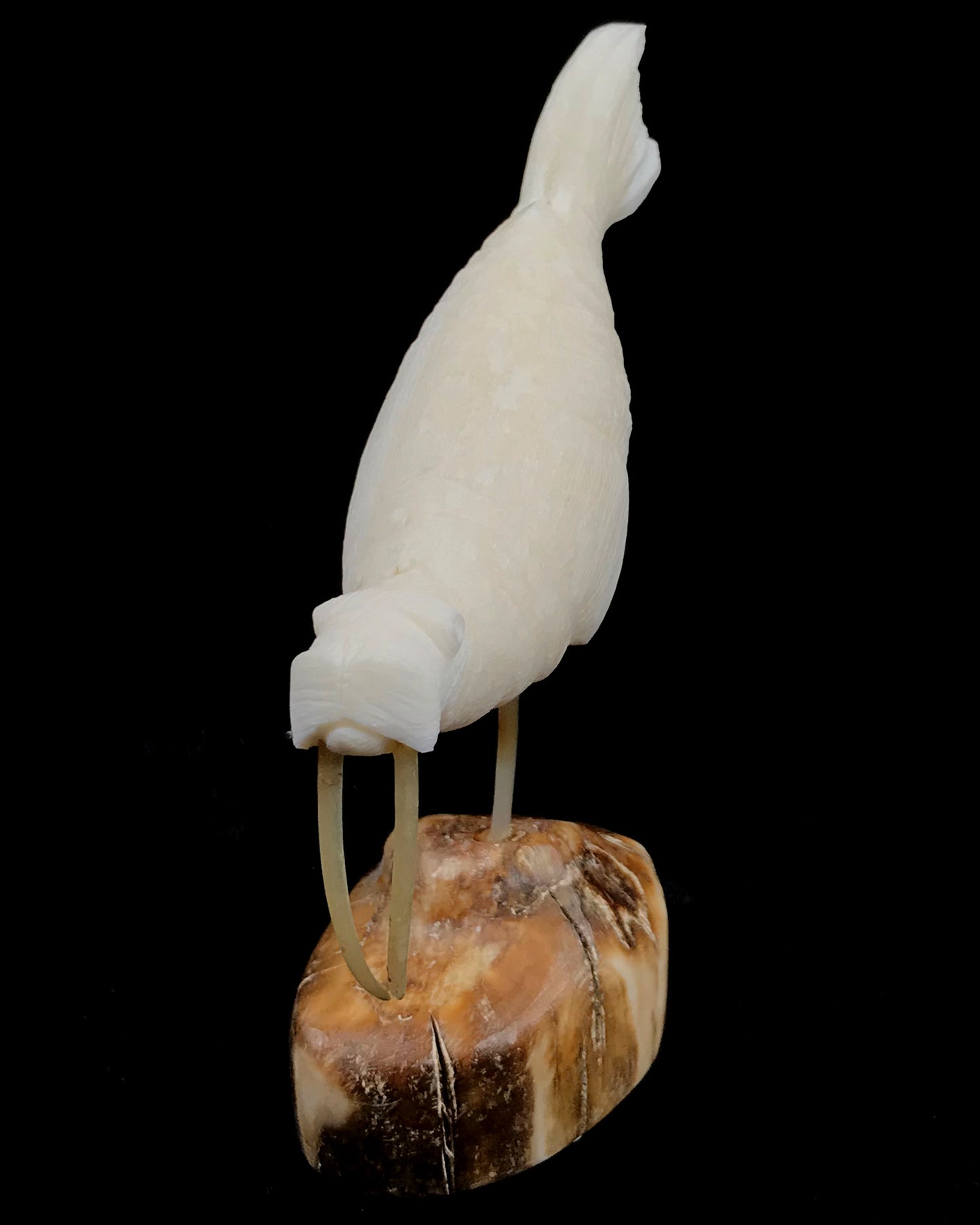 Ivory- Pungowiyi; Swimming Walrus w Whisker Tusks & Spindle