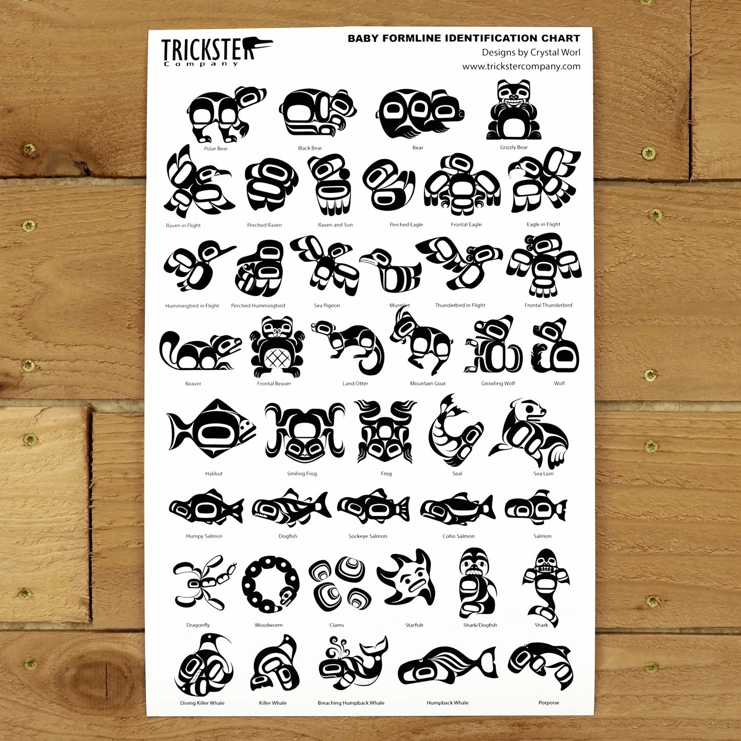 Poster - Formline Baby Animals Identification Chart