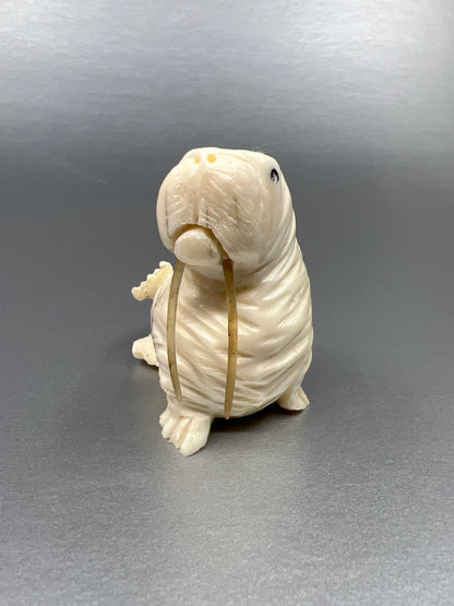 Ivory - D. Pungowiyi; Walrus