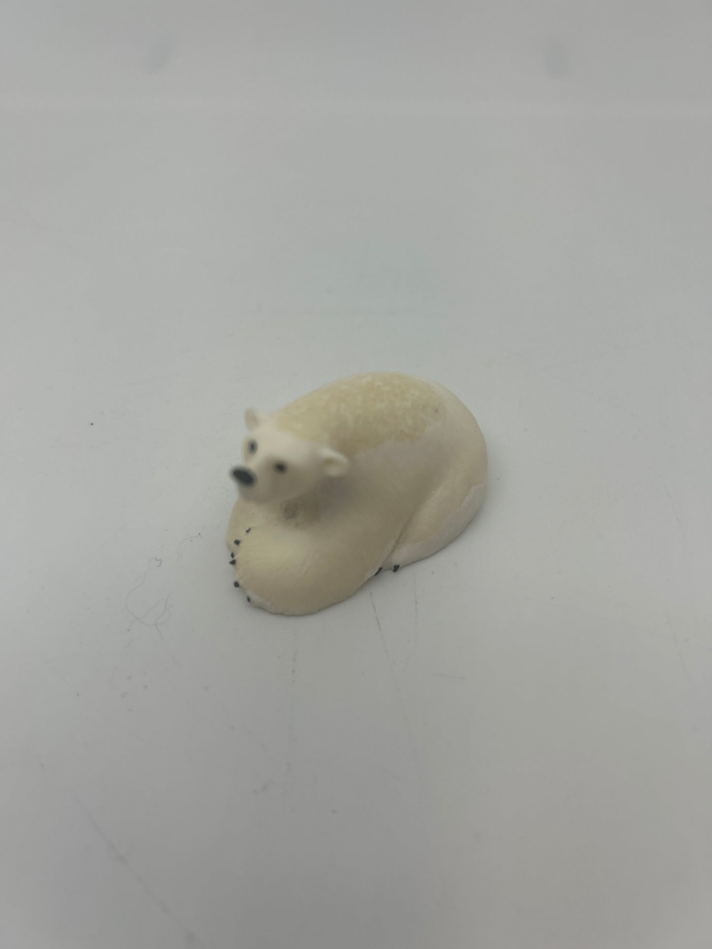 Ivory - Laying Down Polar Bear 2"