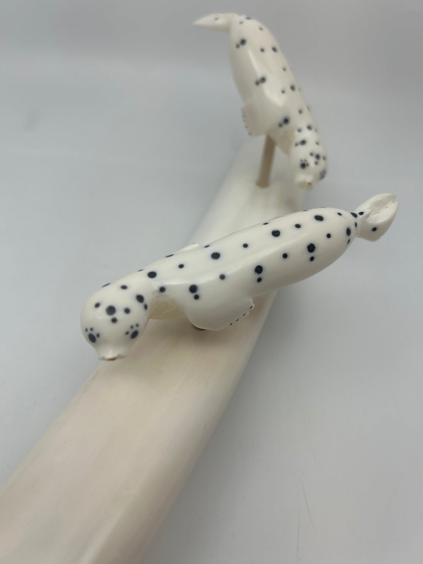 Ivory - 3 Spotted Seals on Ivory Tusk