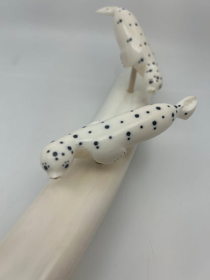 Ivory - 3 Spotted Seals on Ivory Tusk