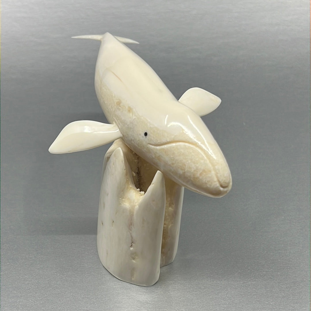 Ivory- Apangalook; Bowhead Whale, Tusk, Baleen