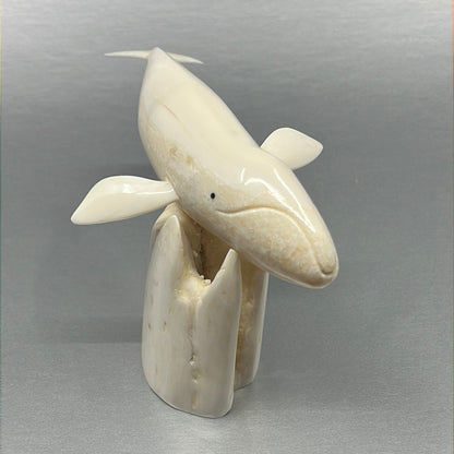 Ivory- Apangalook; Bowhead Whale, Tusk, Baleen