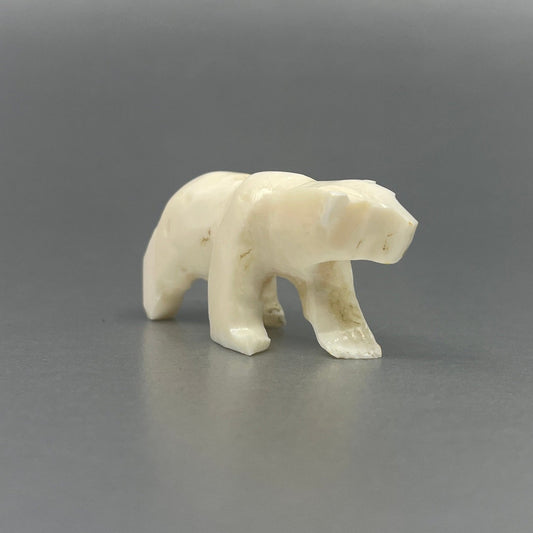 Ivory - Tetpon; Polar Bear