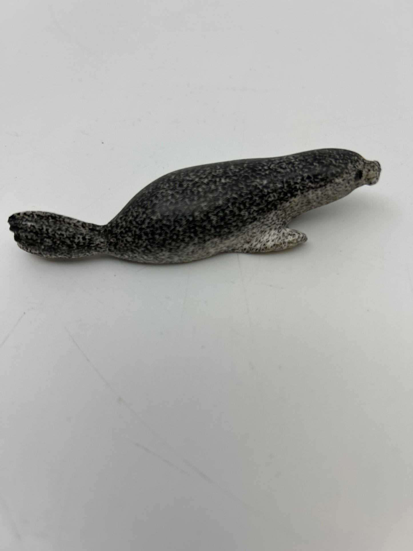 Ivory - Scrimshaw Spotted Seal