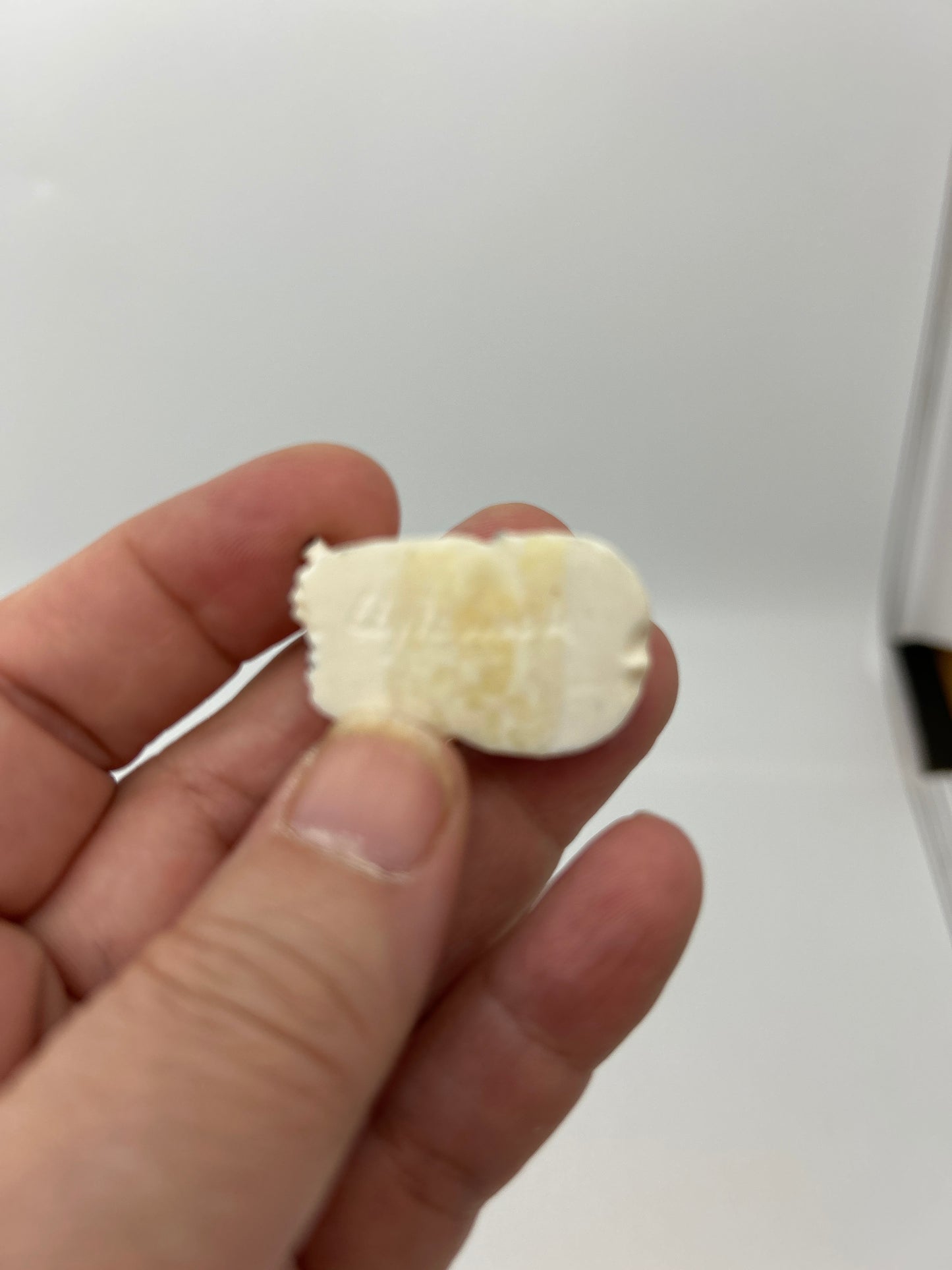 Ivory - Laying Down Polar Bear - 1.5"