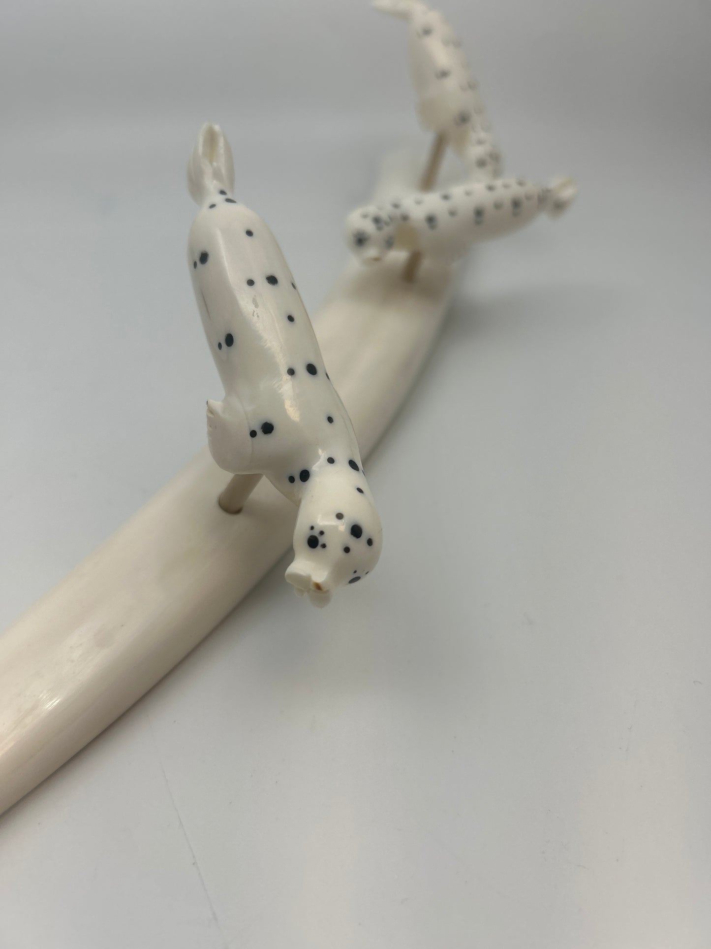 Ivory - 3 Spotted Seals on Ivory Tusk