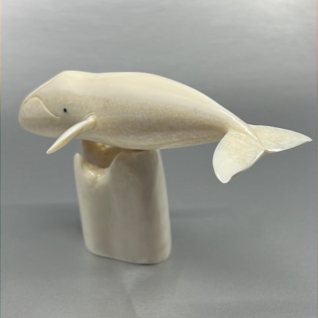 Ivory- Apangalook; Bowhead Whale, Tusk, Baleen