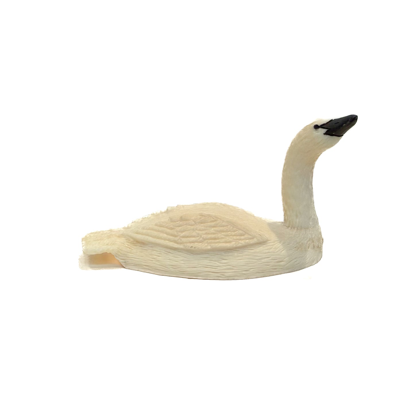 Fred Mayac - Walrus Ivory Swan (Facing Right)