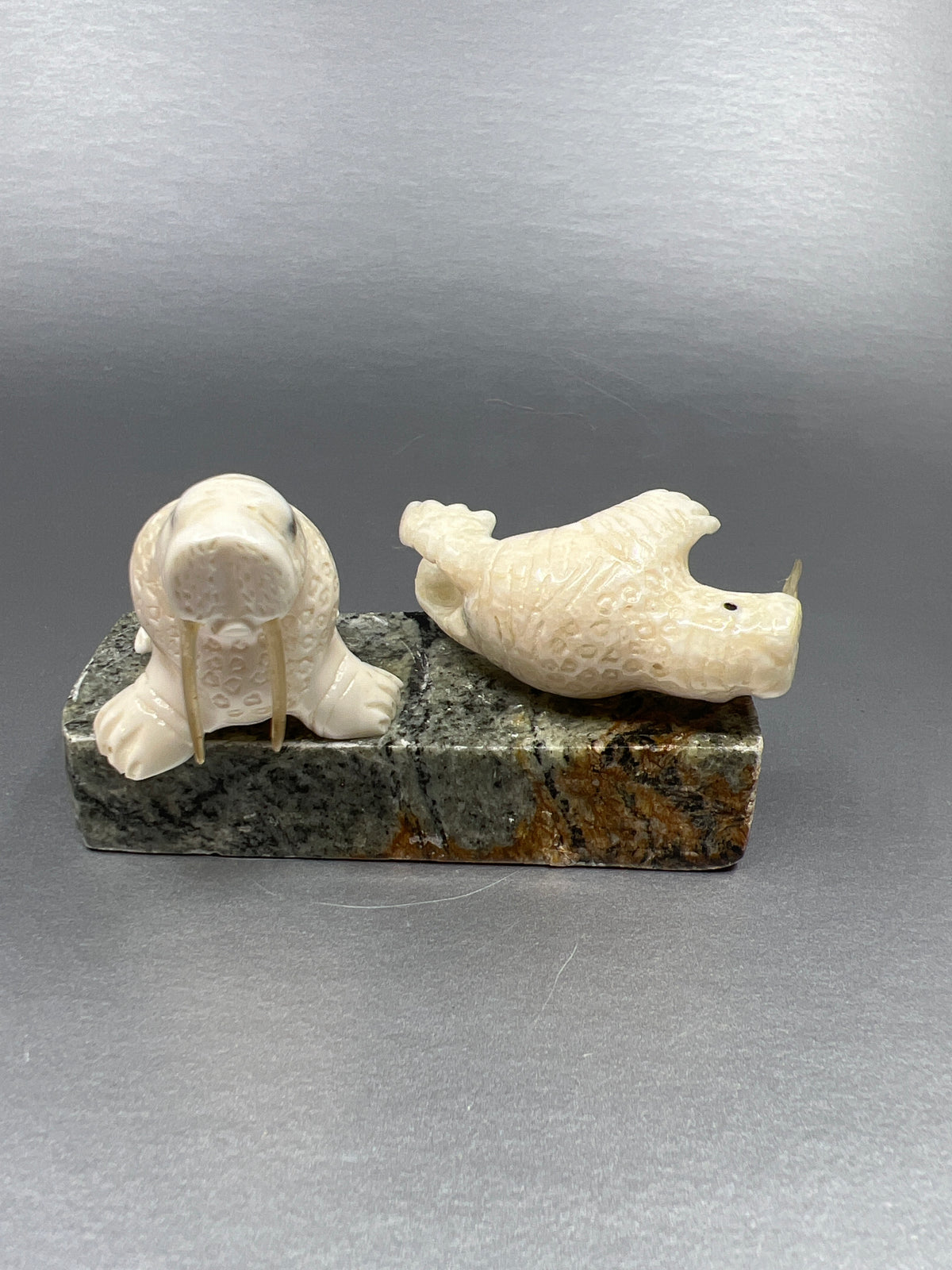 Ivory- 2 Walrus, Whisker, Base