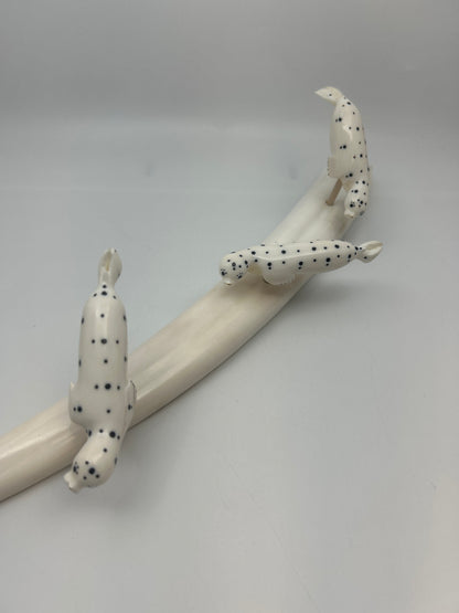 Ivory - 3 Spotted Seals on Ivory Tusk