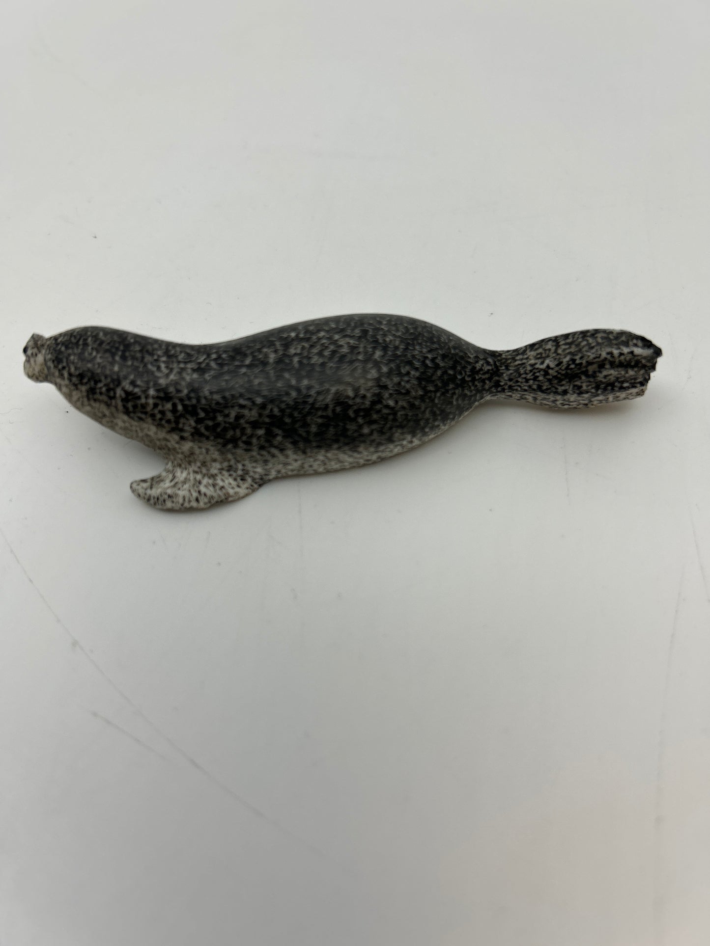 Ivory - Scrimshaw Spotted Seal