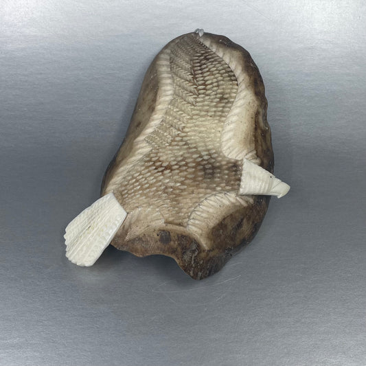 Walrus Cheekbone Art- Eagle w LG Ivory, Detailed