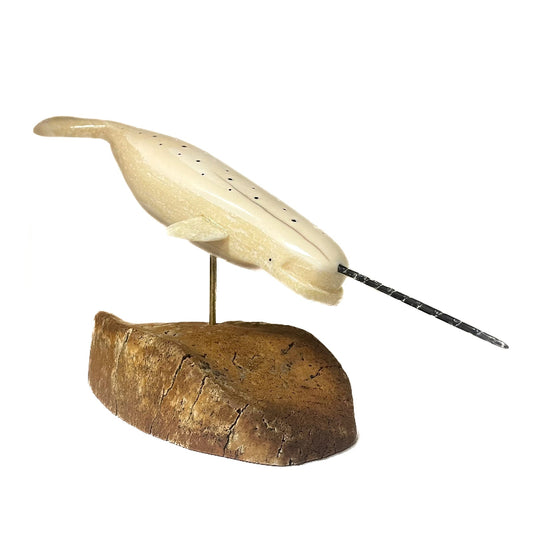 Robert McCoy-Apangalook Sculpture Ivory Narwhal