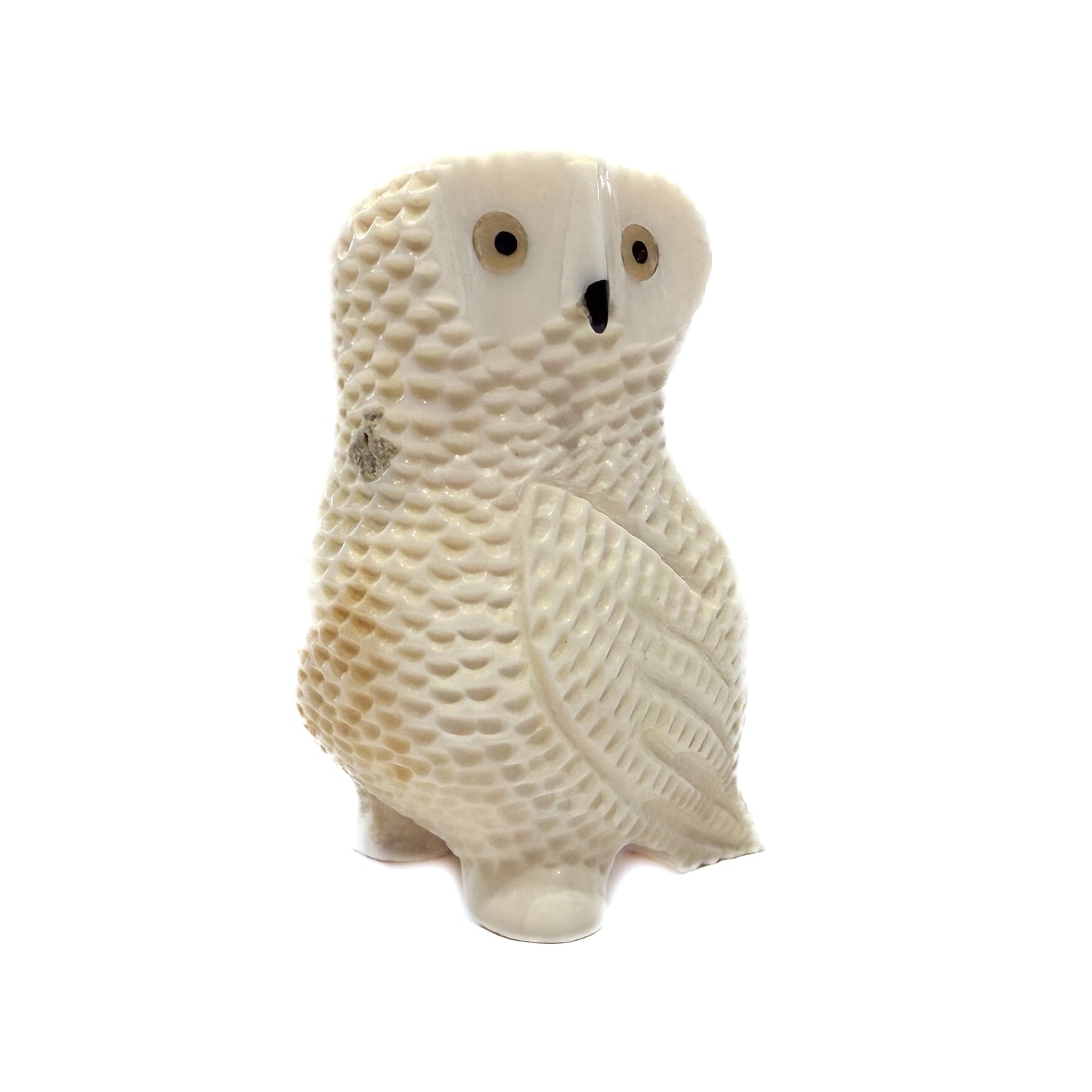 Ivory Owl