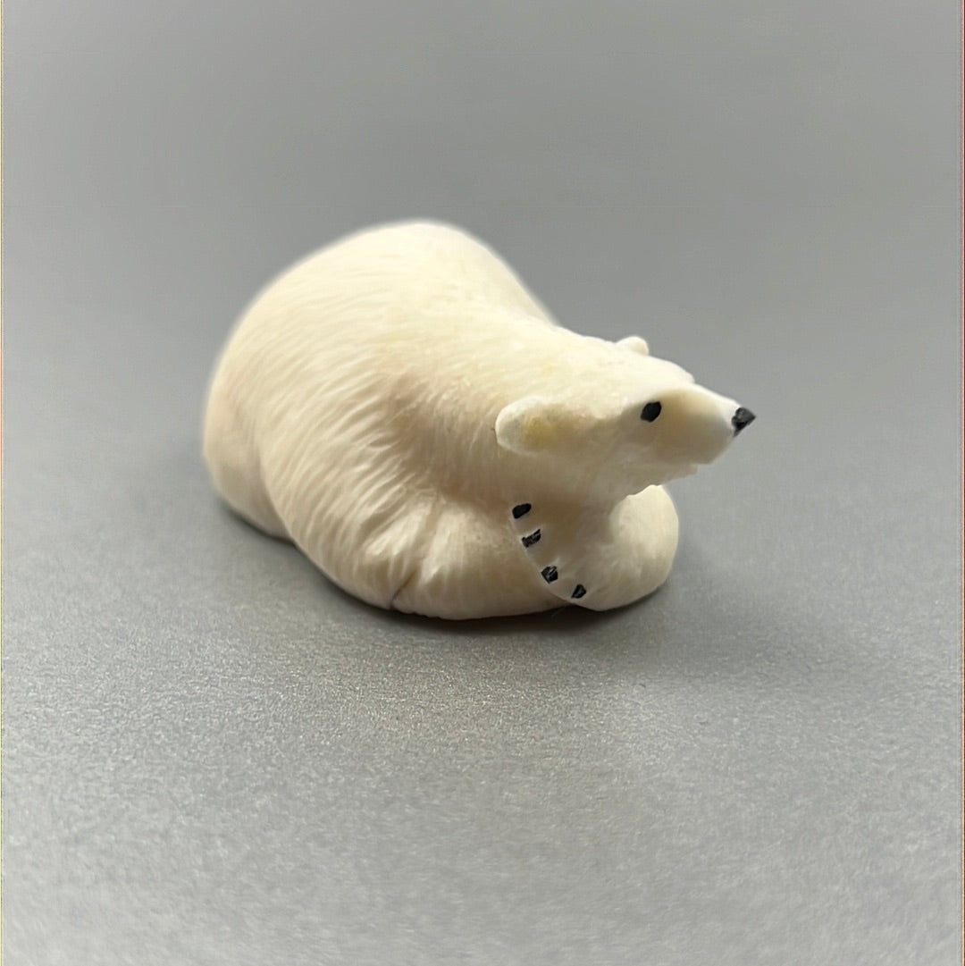 Ivory- J. Uglowook, Resting Polar Bear, Various Sz