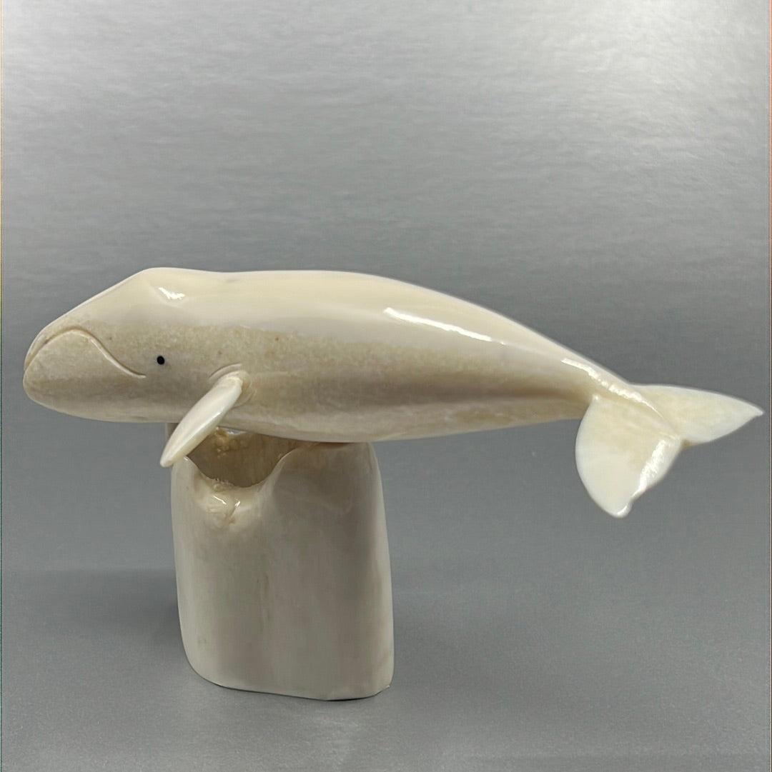 Ivory- Apangalook; Bowhead Whale, Tusk, Baleen