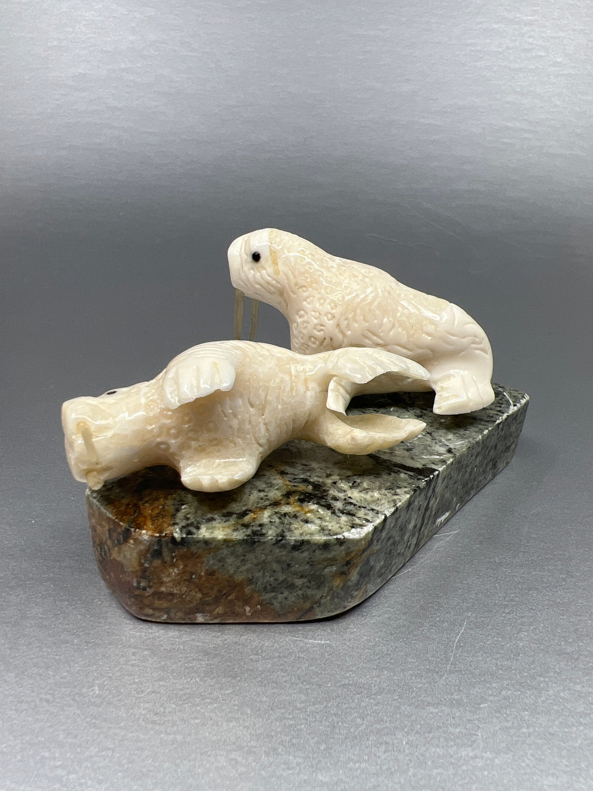 Ivory- 2 Walrus, Whisker, Base