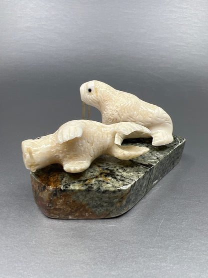 Ivory- 2 Walrus, Whisker, Base