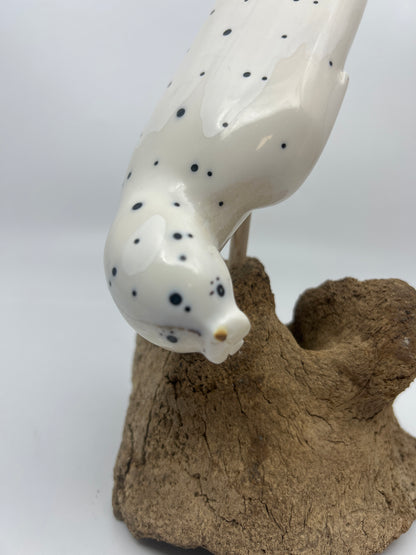 Ivory - Large Spotted Seal on Whalebone Vertebrae