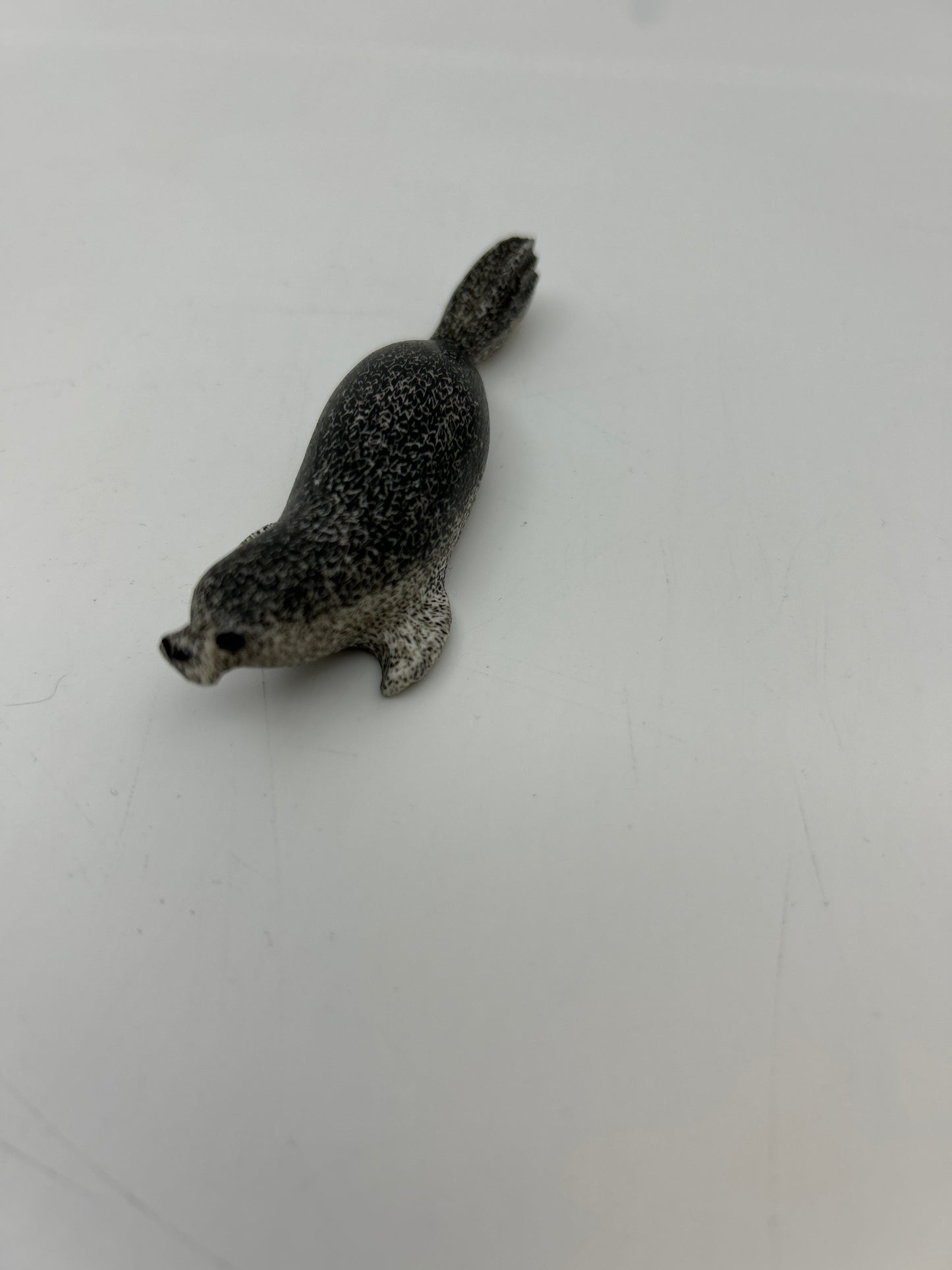 Ivory - Scrimshaw Spotted Seal