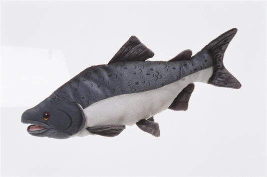 10" Chinook Salmon