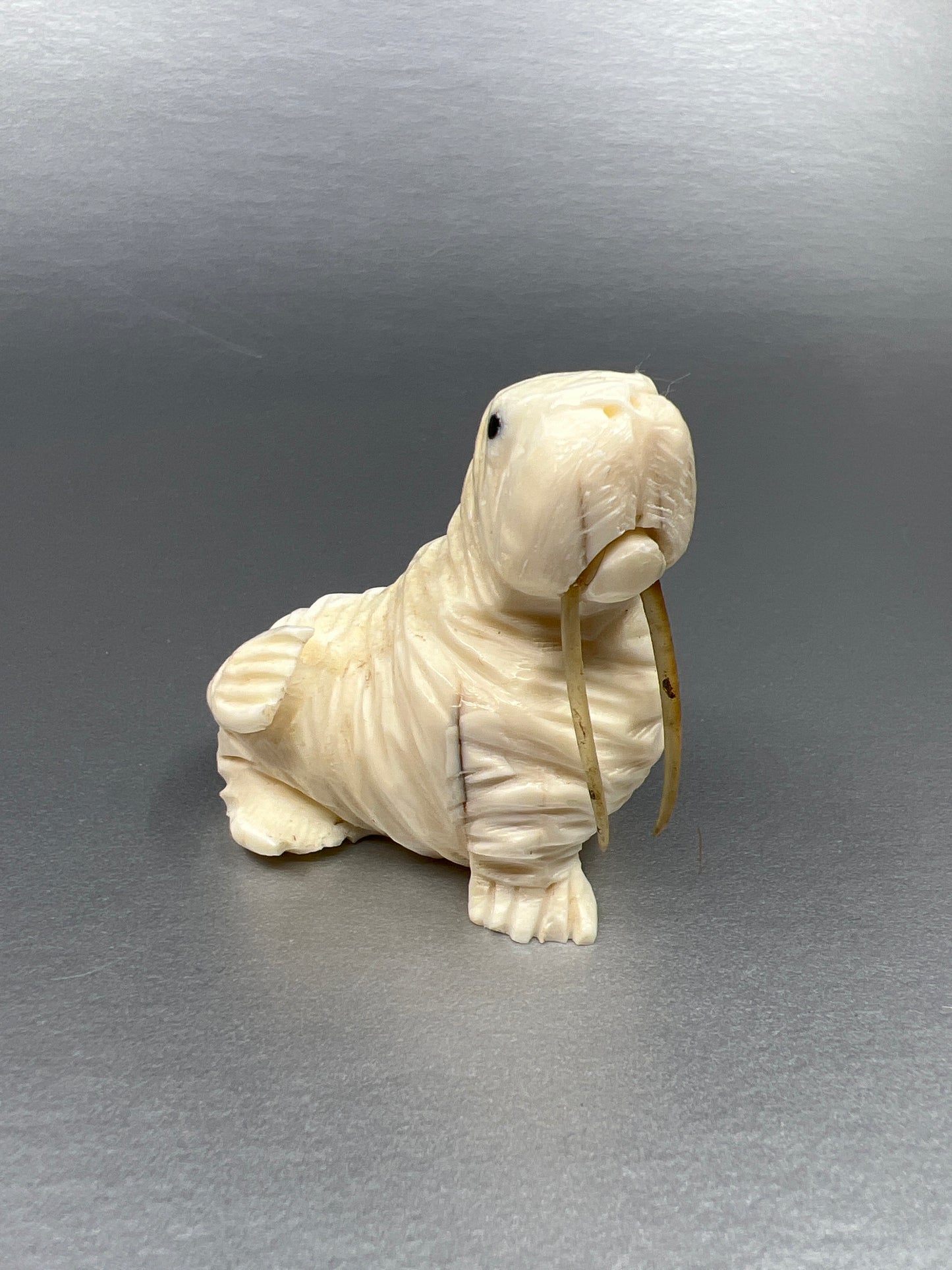 Ivory - D. Pungowiyi; Walrus