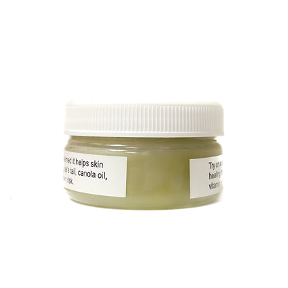 Pauline Duncan Devils Club Ointment - 2 oz