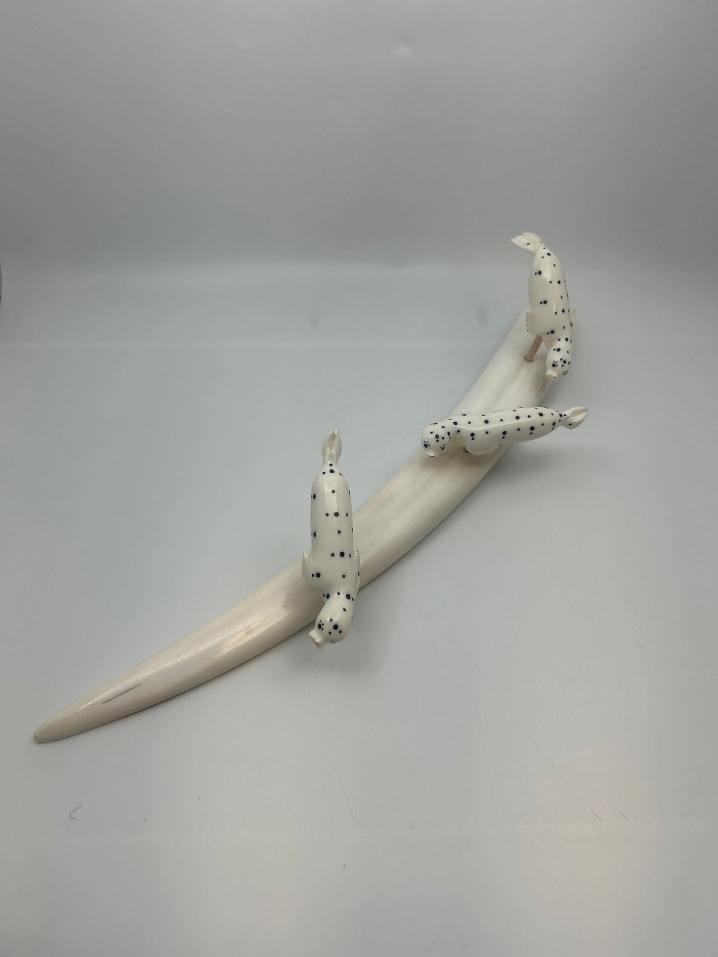 Ivory - 3 Spotted Seals on Ivory Tusk