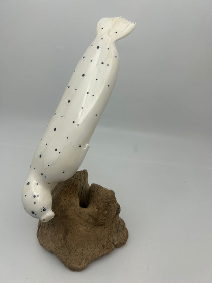 Ivory - Large Spotted Seal on Whalebone Vertebrae
